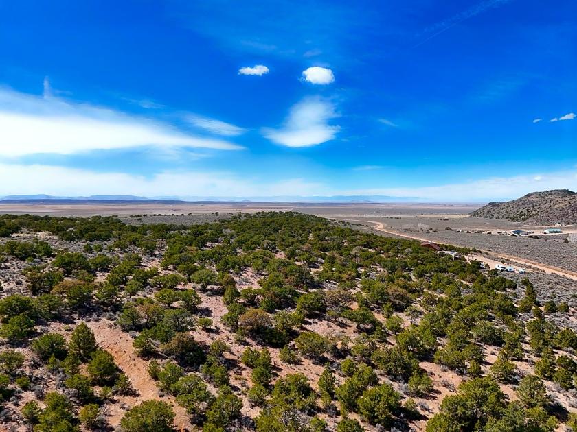 5.03 Acres for Sale in Fort Garland, Colorado