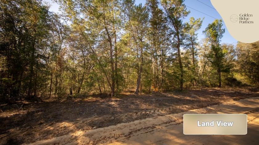 0.22 Acres for Sale in Interlachen, Florida