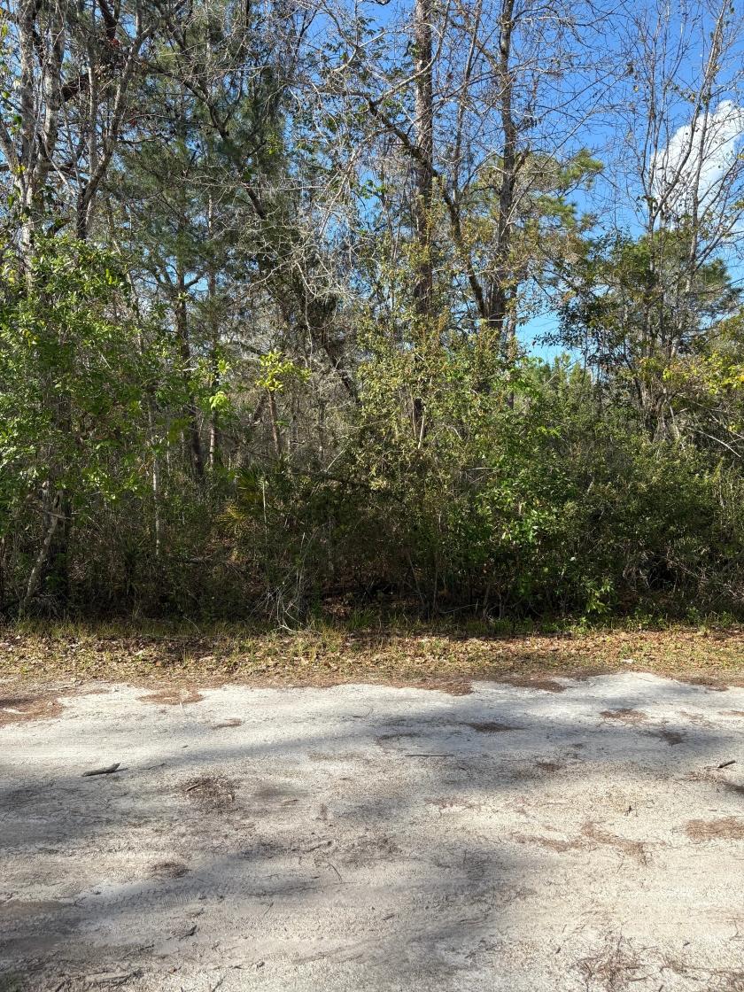 0.18 Acres for Sale in Moon Lake, Florida