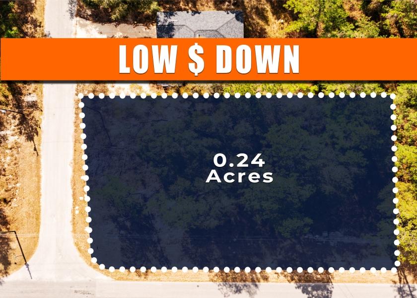 0.24 Acres for Sale in Ocklawaha, Florida
