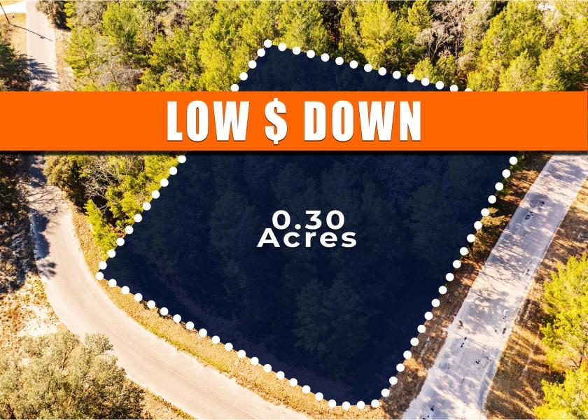 0.3 Acres for Sale in Ocklawaha, Florida