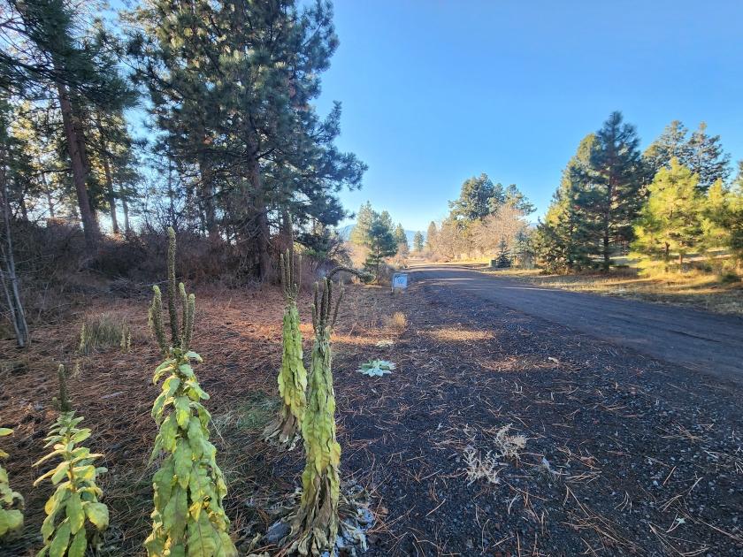0.3 Acres for Sale in Chiloquin, Oregon