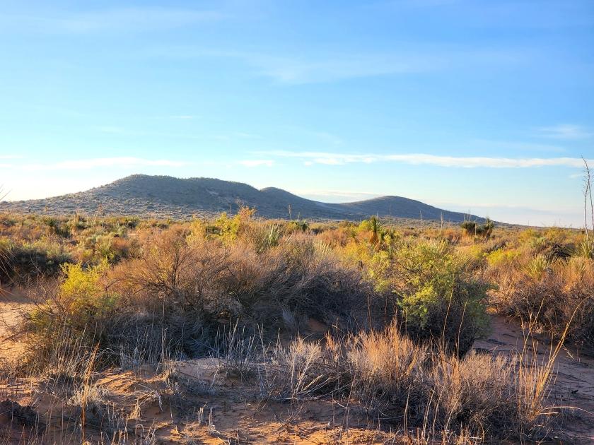 1 Acres for Sale in Agua Dulce, Texas