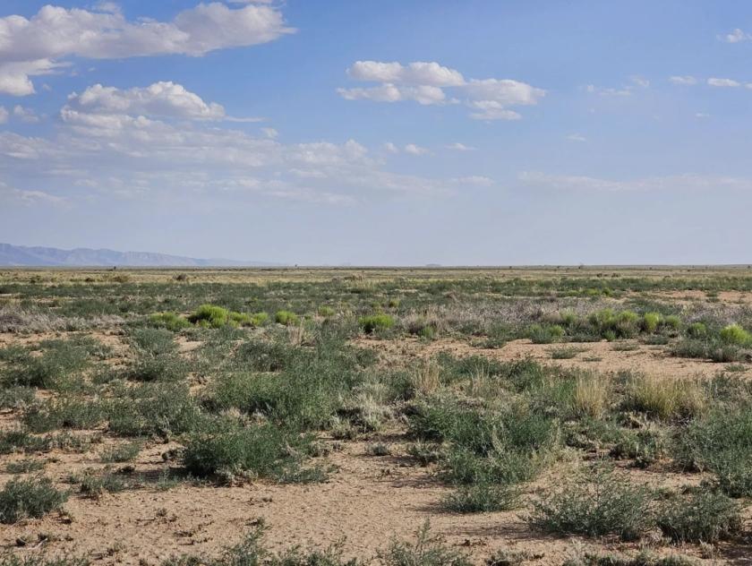 0.29 Acres for Sale in Los Lunas, New Mexico
