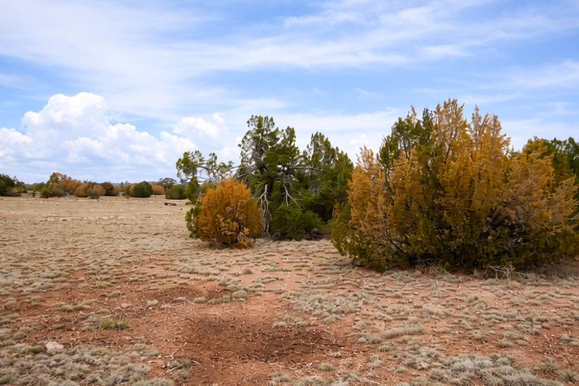 1.93 Acres for Sale in Seligman, Arizona