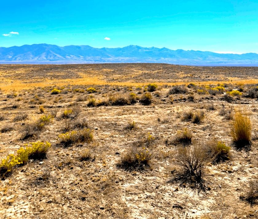 10 Acres for Sale in Elko, Nevada