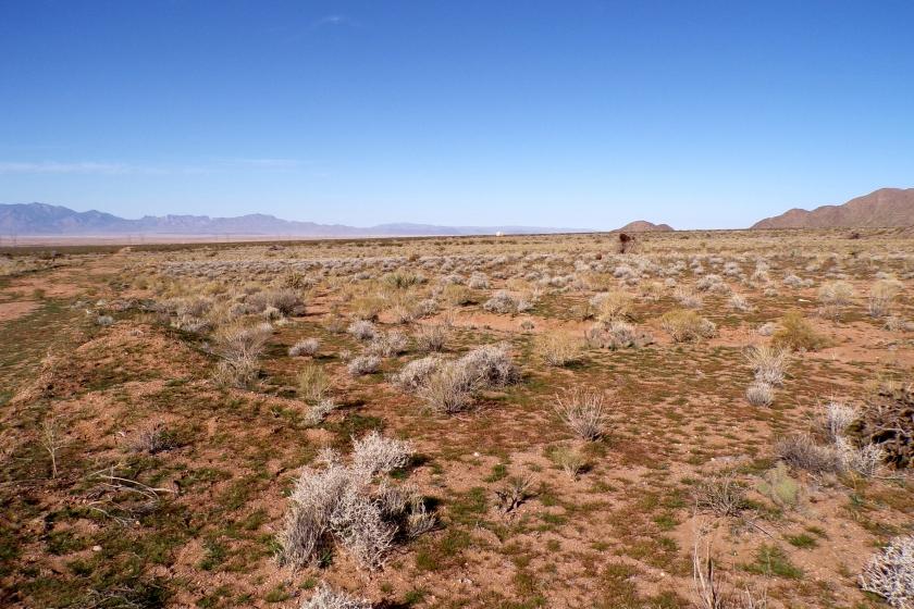 2.5 Acres for Sale in Meadview, Arizona