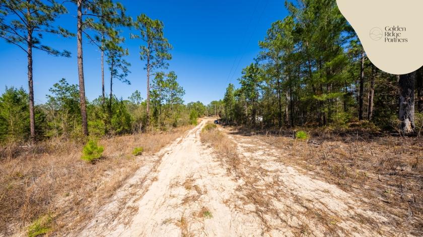 1.22 Acres for Sale in Interlachen, Florida