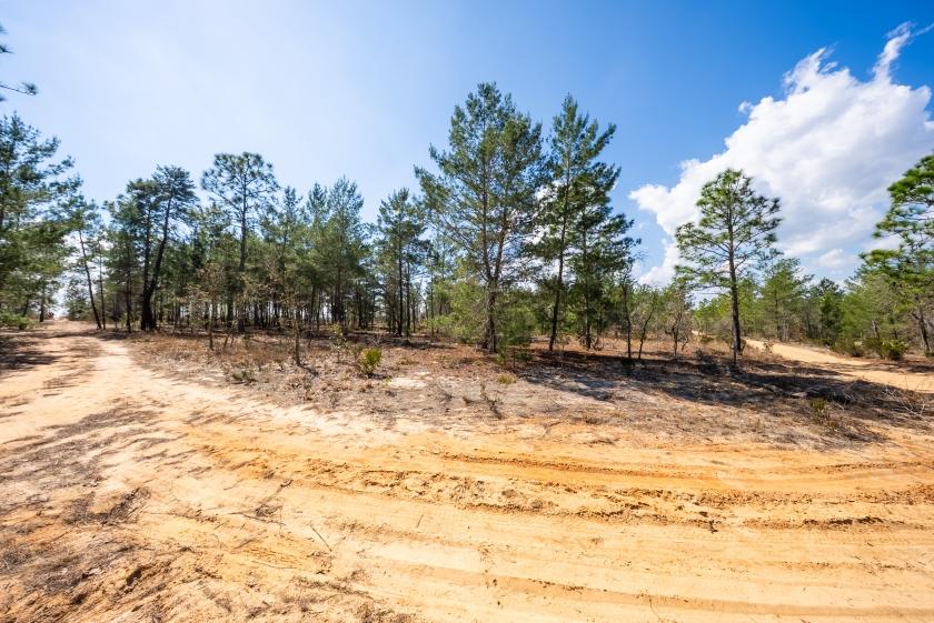 0.37 Acres for Sale in Hawthorne, Florida