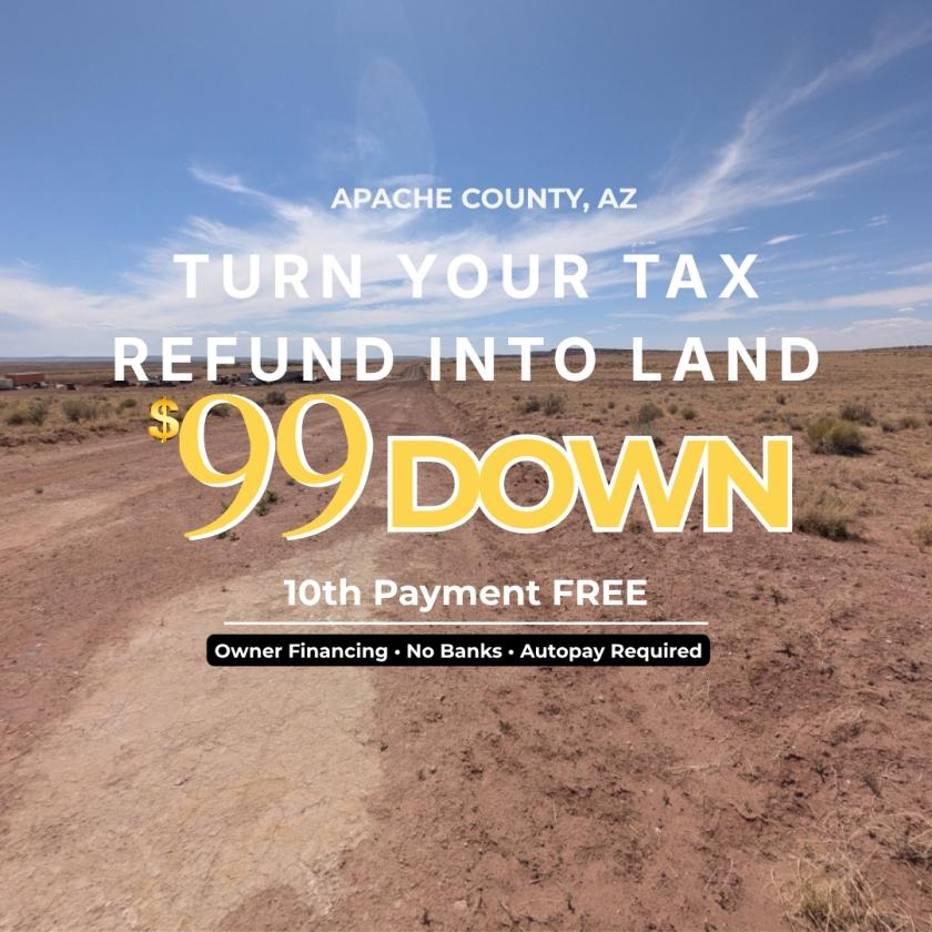 41.44 Acres for Sale in Saint Johns, Arizona
