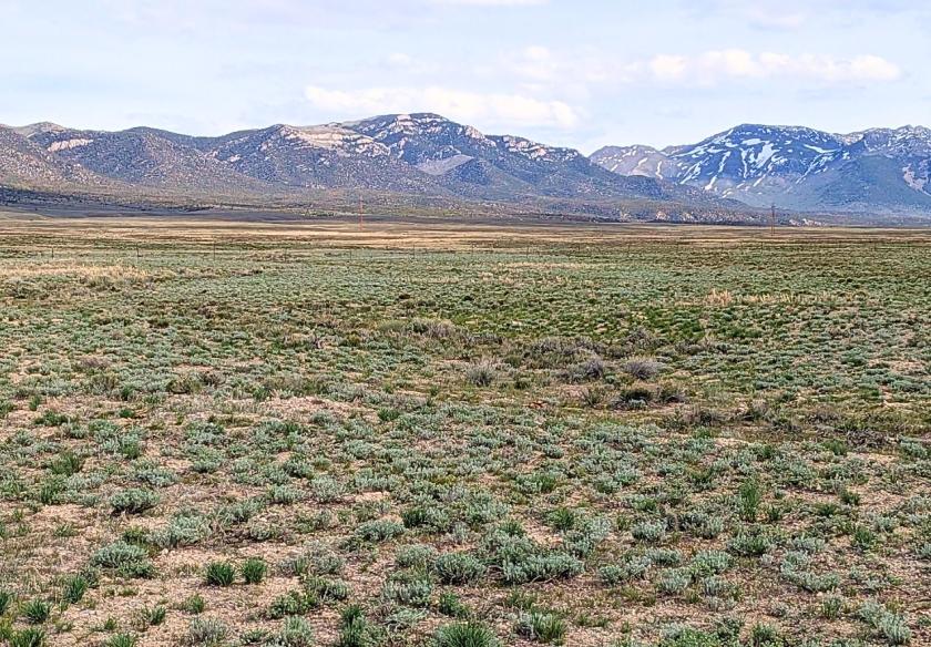 10 Acres for Sale in Montello, Nevada