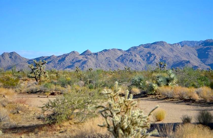 1.03 Acres for Sale in Yucca, Arizona