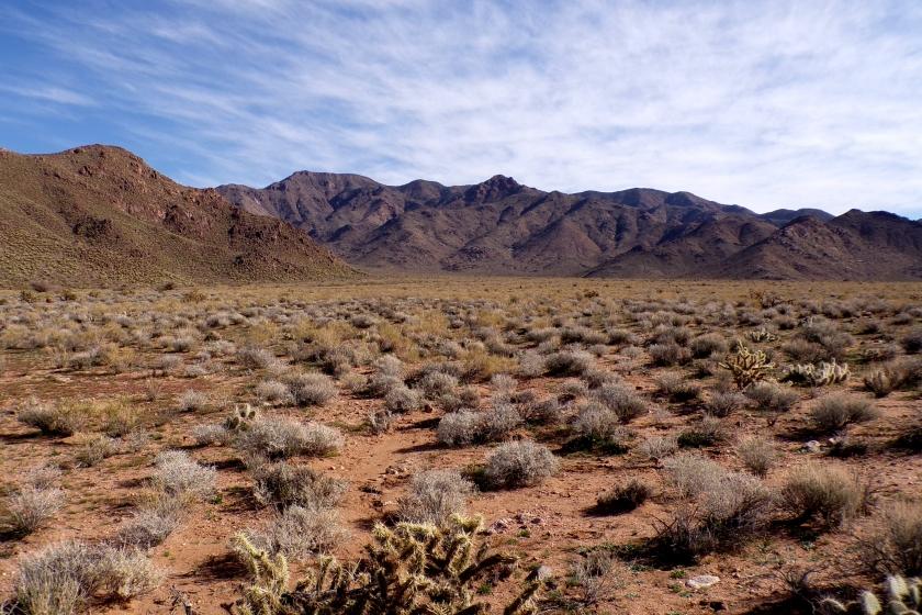 1.19 Acres for Sale in Meadview, Arizona