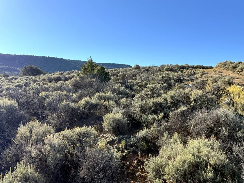 2.72 Acres for Sale in San Luis, Colorado