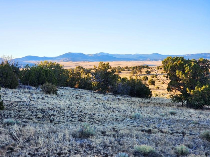 1.04 Acres for Sale in Concho, Arizona