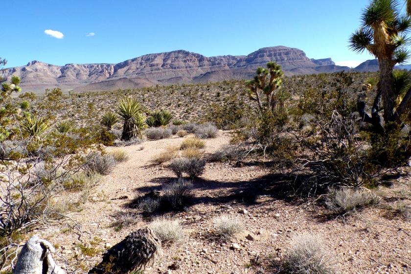 1.25 Acres for Sale in Meadview, Arizona