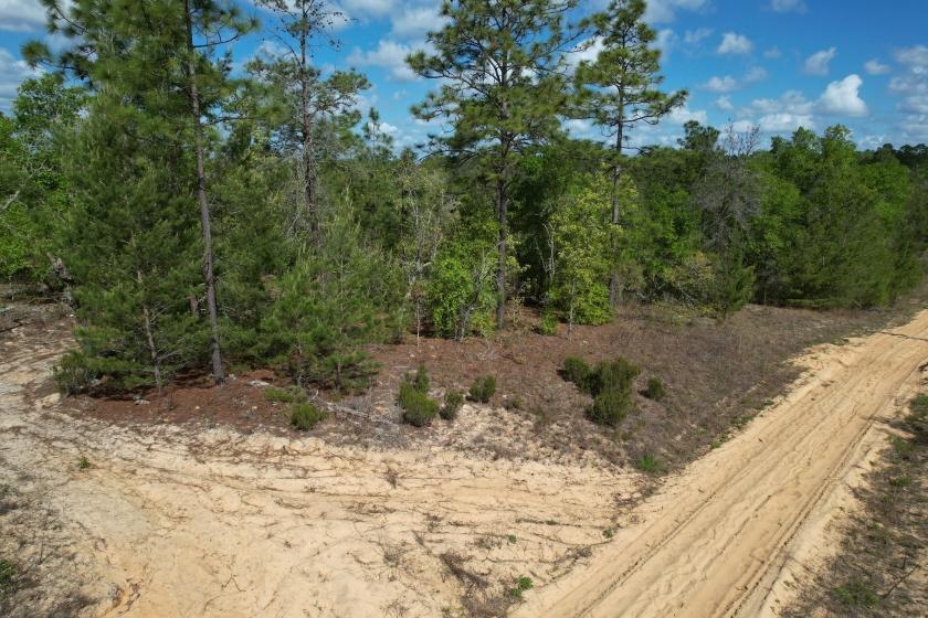 0.3 Acres for Sale in Interlachen, Florida