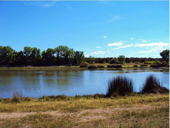 0.46 Acres for Sale in Concho, Arizona