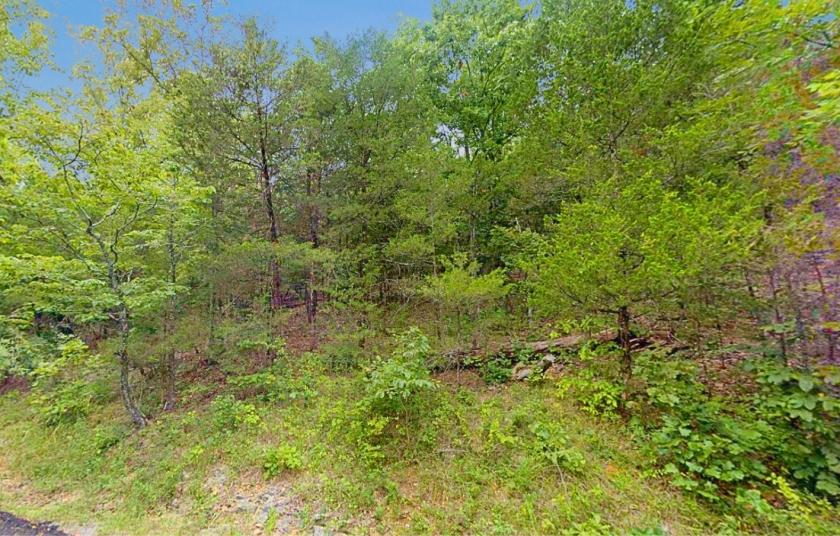 0.29 Acres for Sale in Cherokee Village, Arkansas