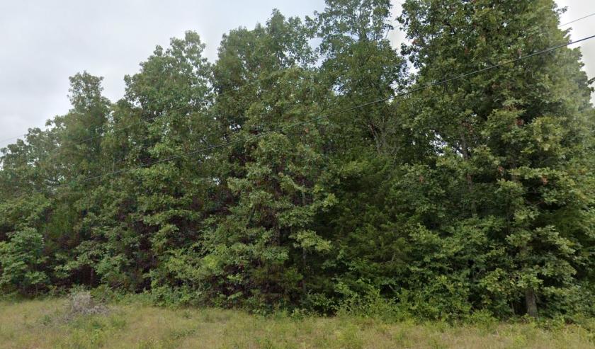 0.35 Acres for Sale in Cherokee Village, Arkansas