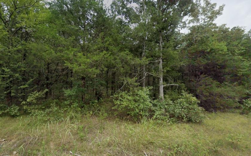 0.37 Acres for Sale in Cherokee Village, Arkansas