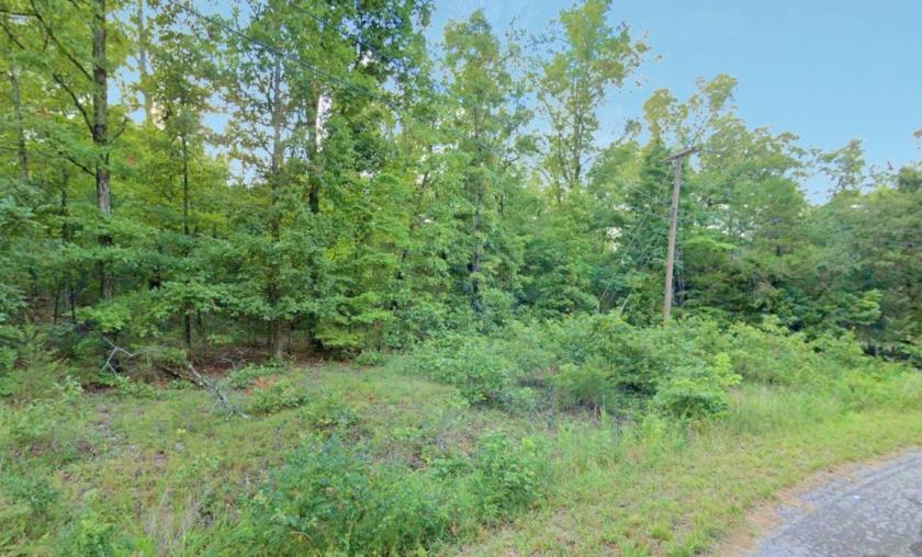 0.43 Acres for Sale in Cherokee Village, Arkansas
