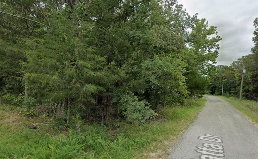 0.332 Acres for Sale in Cherokee Village, Arkansas