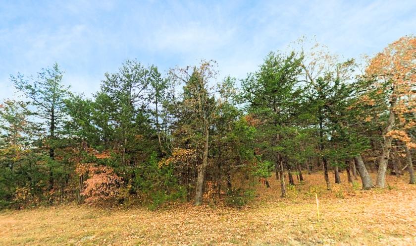 0.17 Acres for Sale in Lead Hill, Arkansas