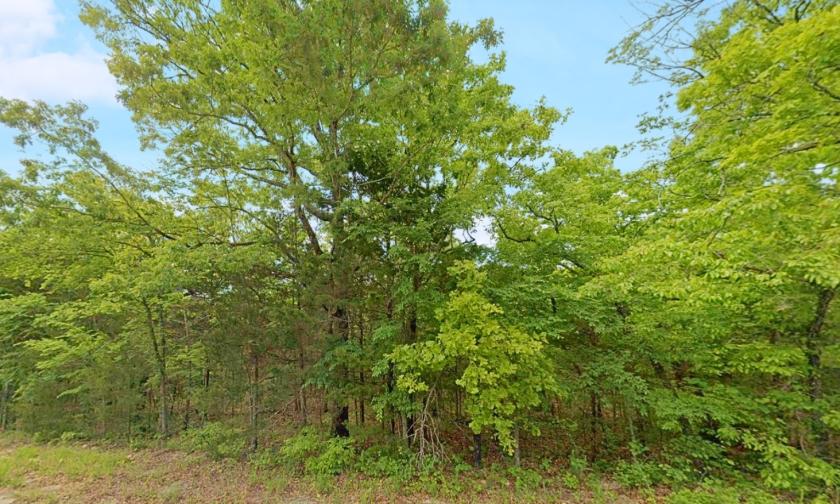0.31 Acres for Sale in Horseshoe Bend, Arkansas