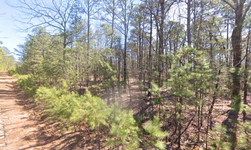 0.32 Acres for Sale in Horseshoe Bend, Arkansas