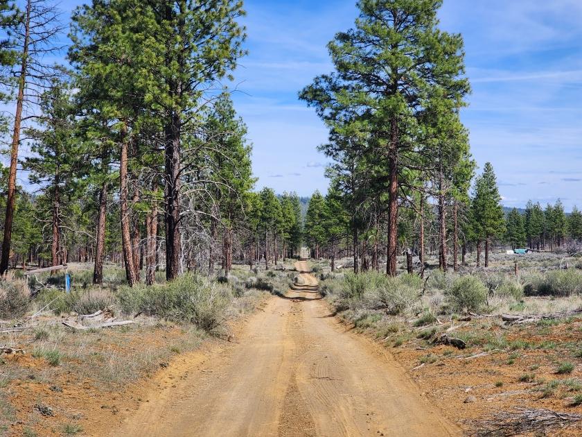 2.38 Acres for Sale in Sprague River, Oregon