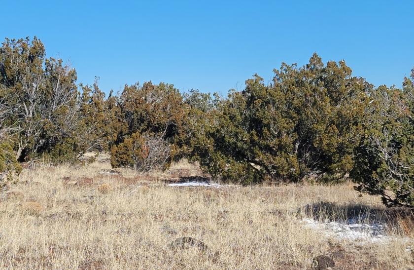 .27 Acres for Sale in Concho, Arizona