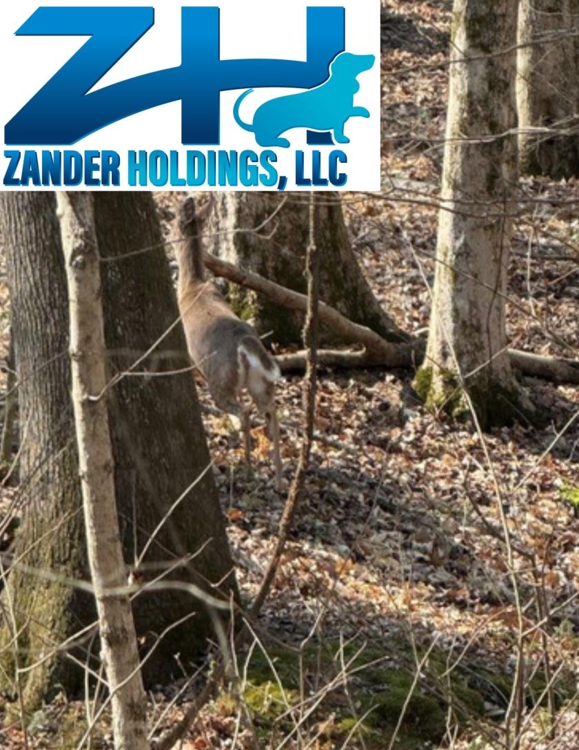 0.23 Acres for Sale in Cadiz, Kentucky