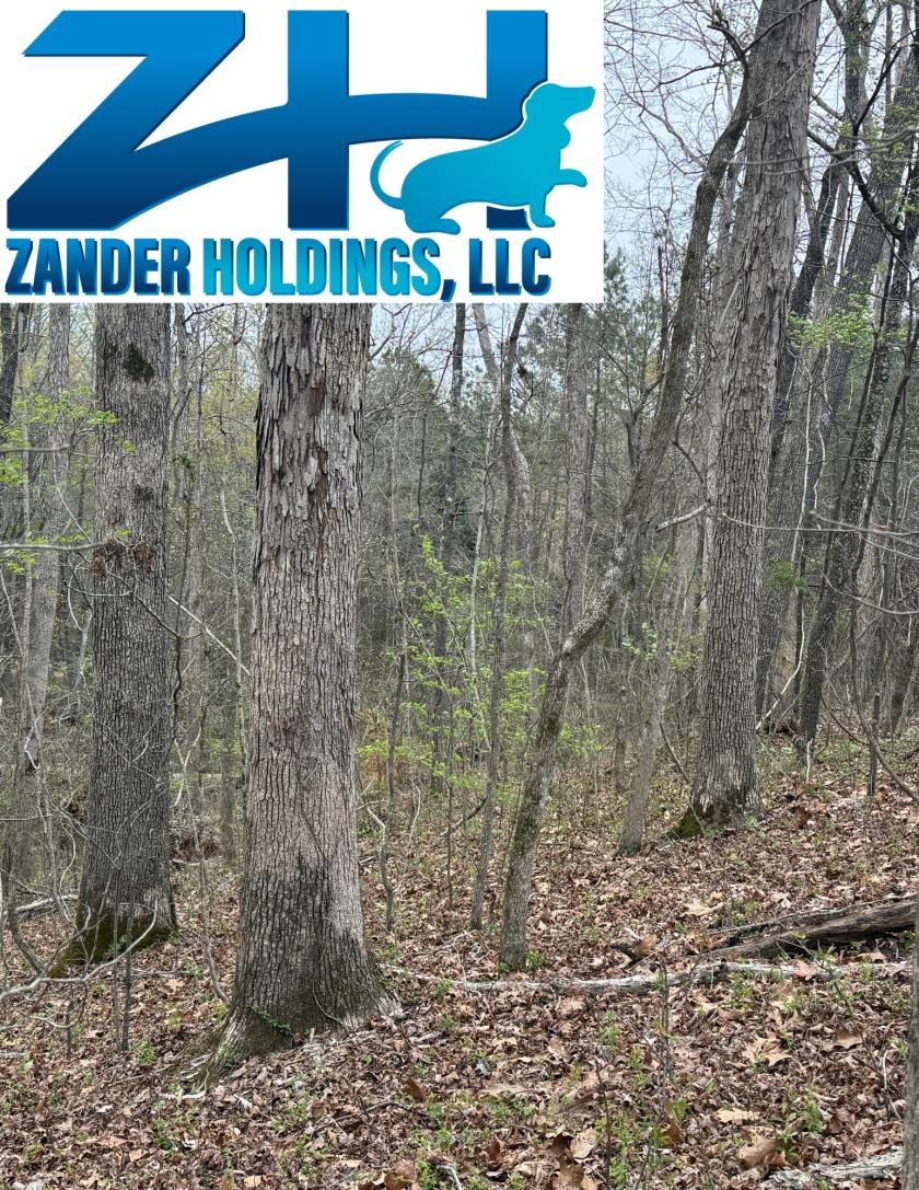 1.26 Acres for Sale in New Concord, Kentucky