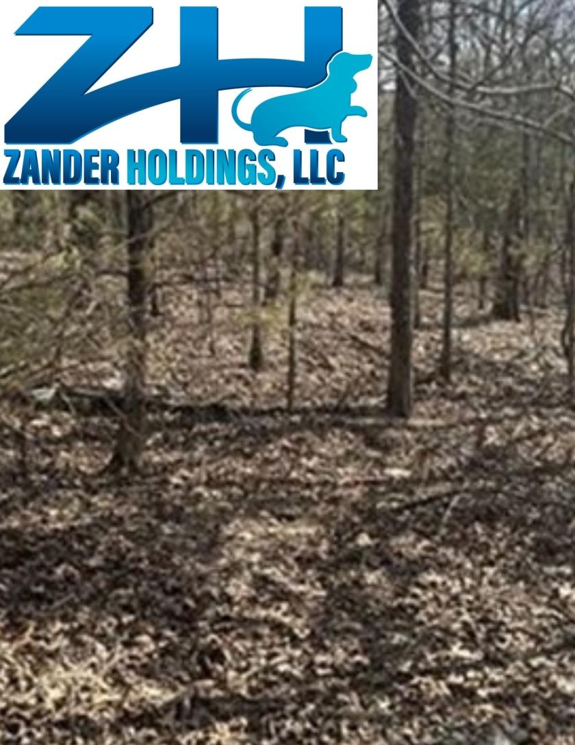 0.33 Acres for Sale in Cherokee Village, Arkansas