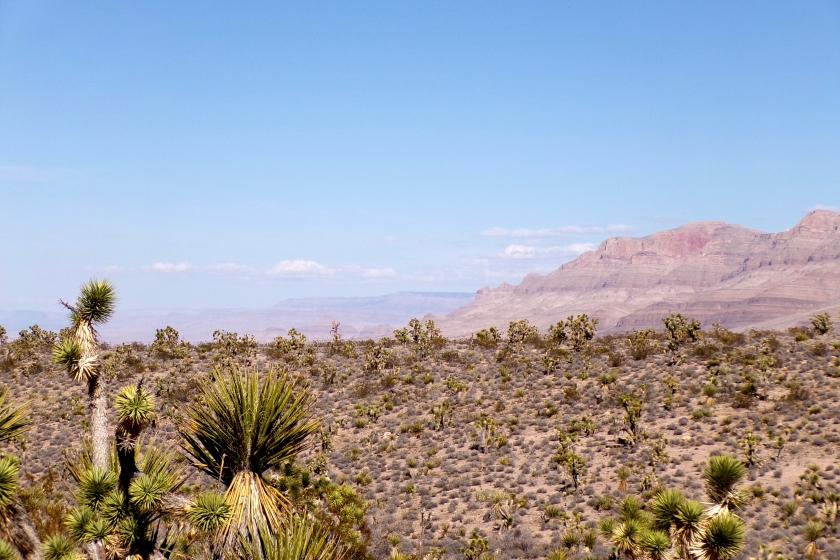 1 Acres for Sale in Meadview, Arizona