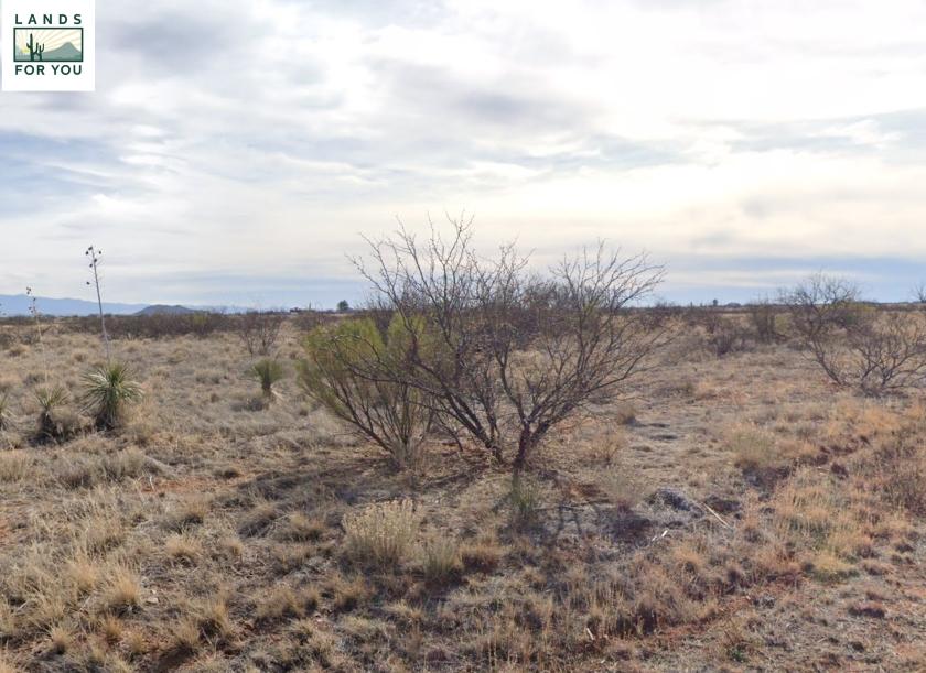 1.07 Acres for Sale in Sunsites, Arizona
