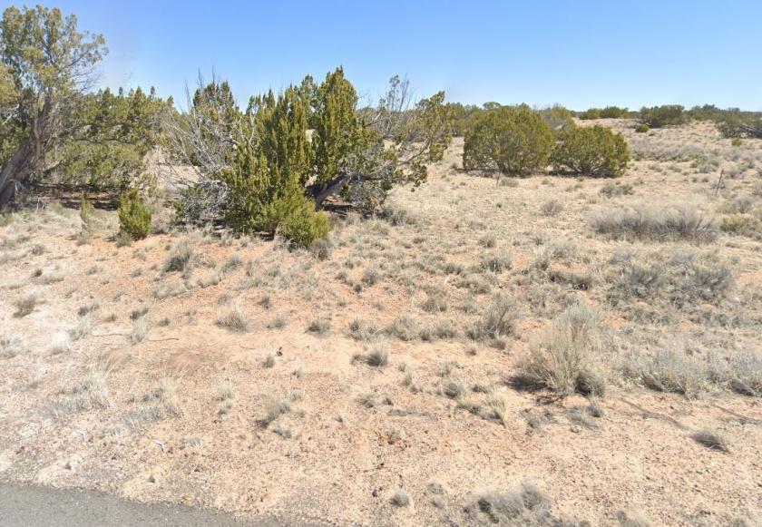 1.25 Acres for Sale in Concho, Arizona
