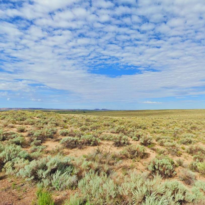 1.09 Acres for Sale in Petrified National Estate, Arizona