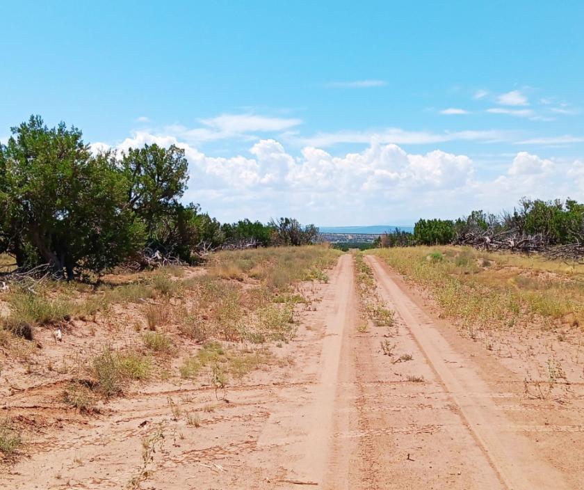 7.5 Acres for Sale in Adamana, Arizona