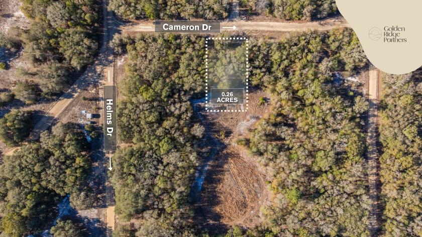 0.26 Acres for Sale in Interlachen, Florida