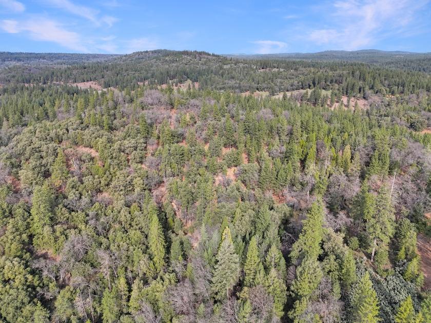 10 Acres for Sale in Garden Valley, California