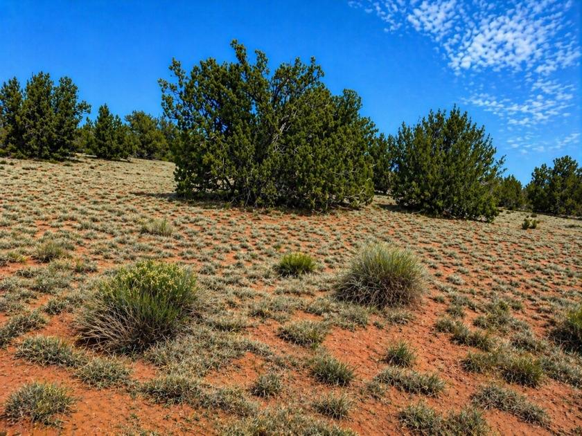 1.03 Acres for Sale in Williams, Arizona