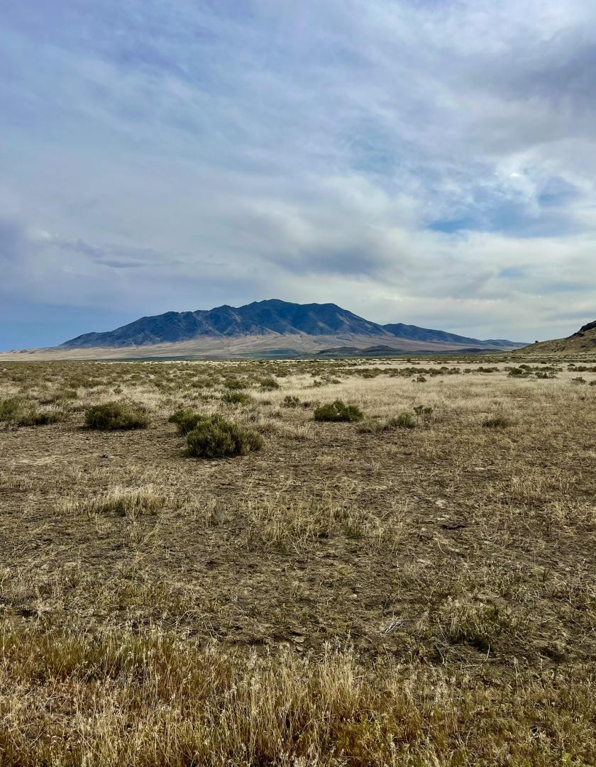 80.53 Acres for Sale in Winnemucca (Owner Financing!-$599 a month!), Nevada