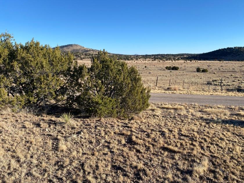 0.62 Acres for Sale in Buffalo Gap, New Mexico
