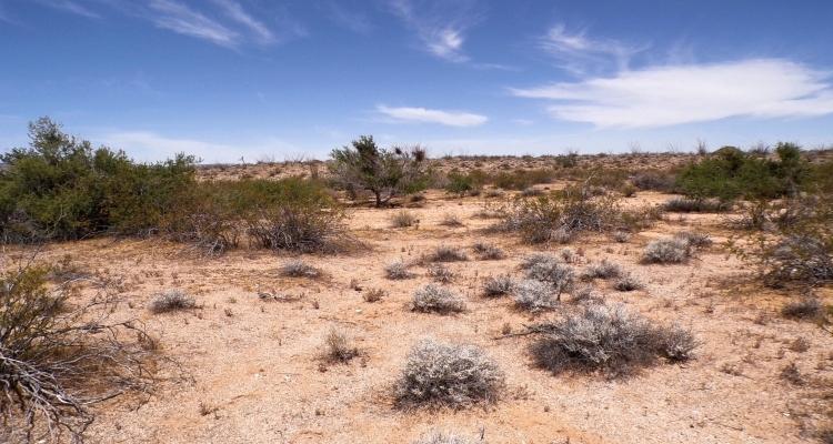 2.35 Acres for Sale in Yucca, Arizona