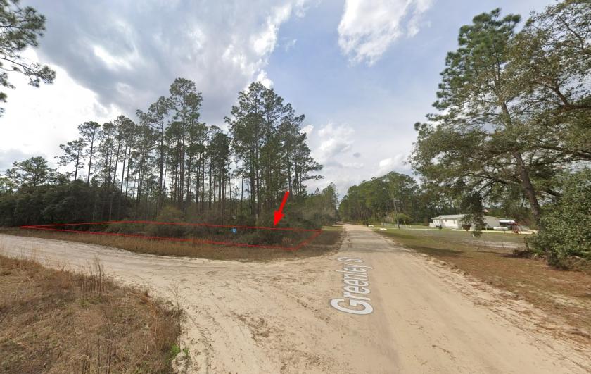 0.3 Acres for Sale in Interlachen, Florida