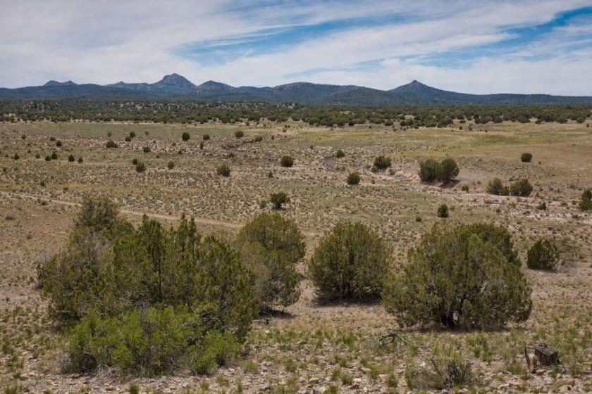 10.00 Acres for Sale in Concho, Arizona
