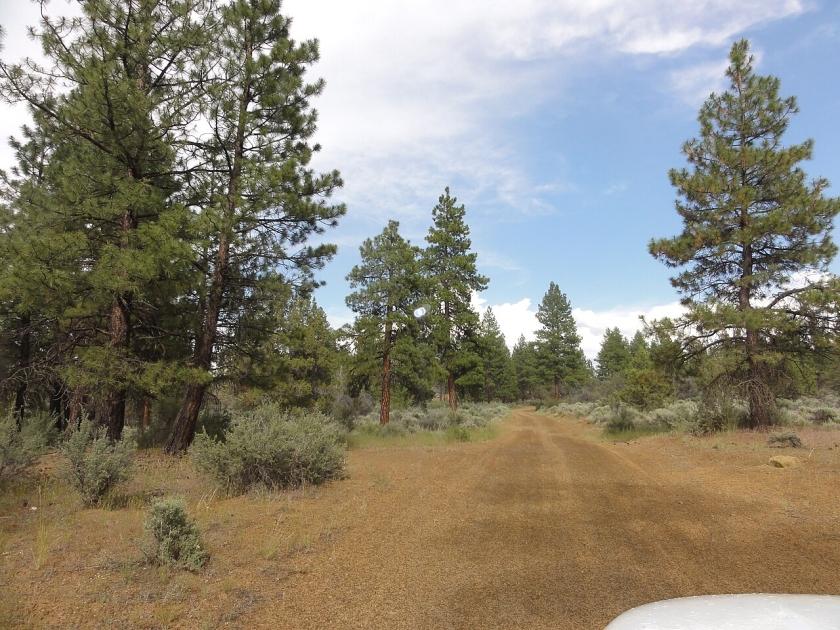 2.36 Acres for Sale in Sprague River, Oregon