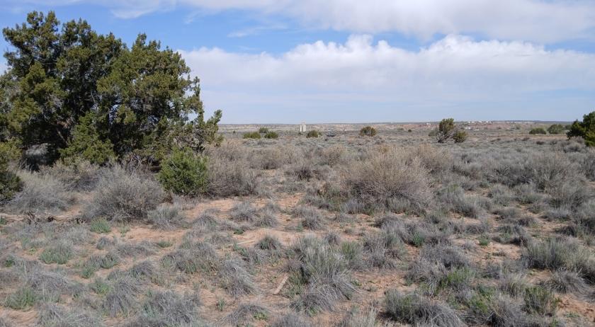 2.37 Acres for Sale in Sanders, Arizona